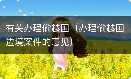 有关办理偷越国（办理偷越国边境案件的意见）