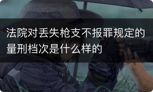 法院对丢失枪支不报罪规定的量刑档次是什么样的