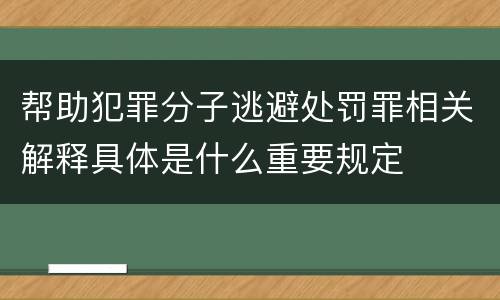 帮助犯罪分子逃避处罚罪相关解释具体是什么重要规定
