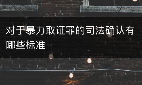 对于暴力取证罪的司法确认有哪些标准