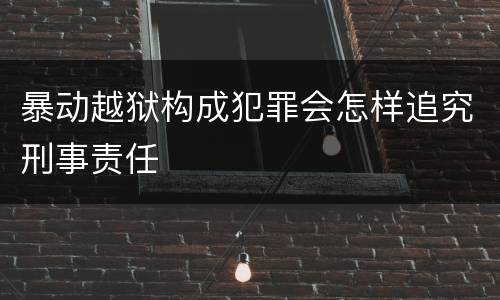 暴动越狱构成犯罪会怎样追究刑事责任