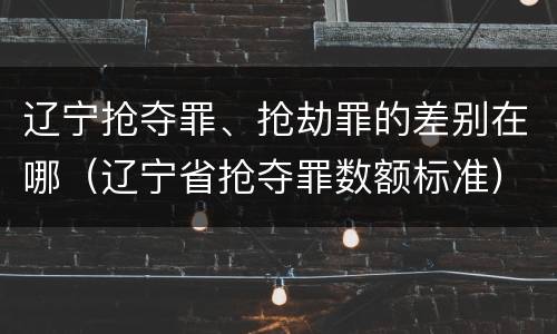 辽宁抢夺罪、抢劫罪的差别在哪（辽宁省抢夺罪数额标准）