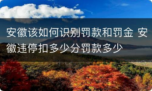 安徽该如何识别罚款和罚金 安徽违停扣多少分罚款多少