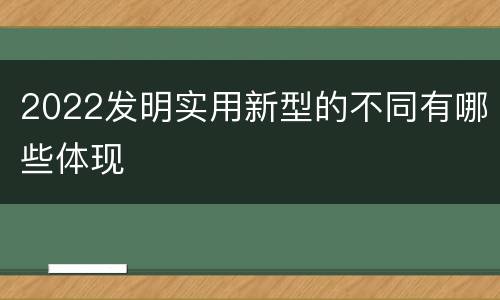 2022发明实用新型的不同有哪些体现