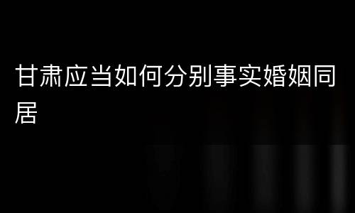 甘肃应当如何分别事实婚姻同居