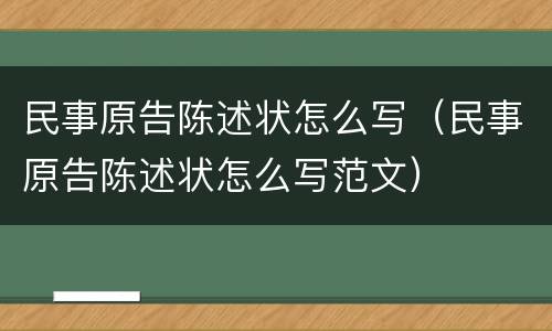 民事原告陈述状怎么写（民事原告陈述状怎么写范文）