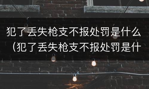 犯了丢失枪支不报处罚是什么（犯了丢失枪支不报处罚是什么意思）
