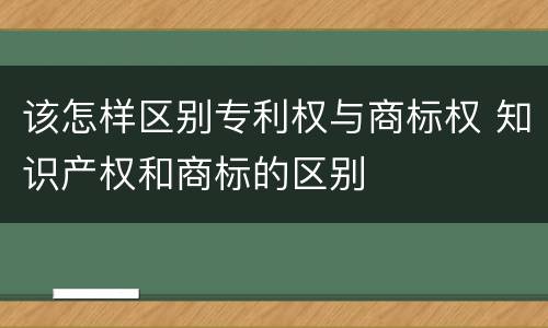 该怎样区别专利权与商标权 知识产权和商标的区别