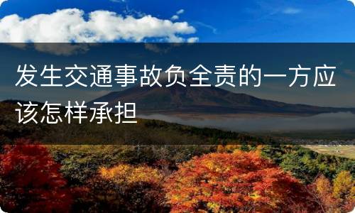 发生交通事故负全责的一方应该怎样承担