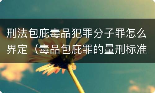 刑法包庇毒品犯罪分子罪怎么界定（毒品包庇罪的量刑标准）