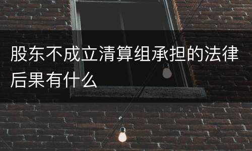 股东不成立清算组承担的法律后果有什么