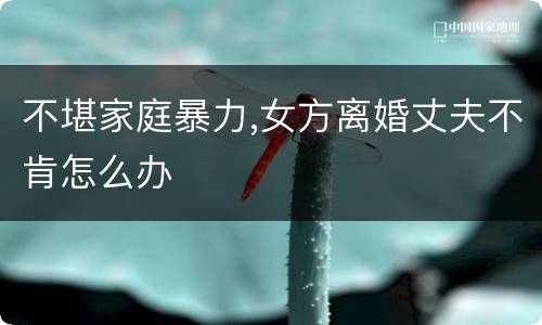 不堪家庭暴力,女方离婚丈夫不肯怎么办