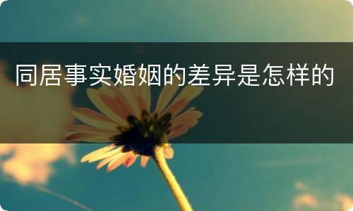同居事实婚姻的差异是怎样的