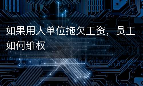 如果用人单位拖欠工资，员工如何维权