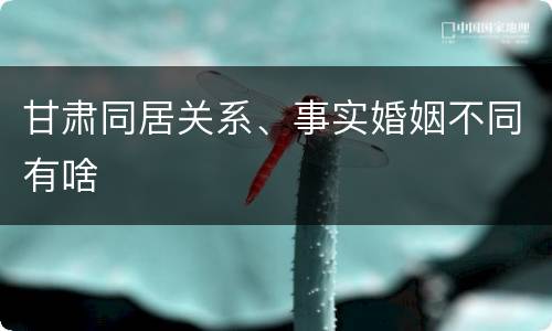 甘肃同居关系、事实婚姻不同有啥