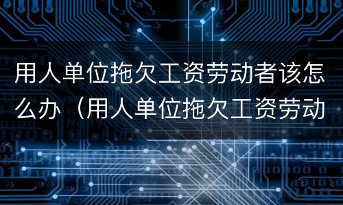 用人单位拖欠工资劳动者该怎么办（用人单位拖欠工资劳动者该怎么办理）