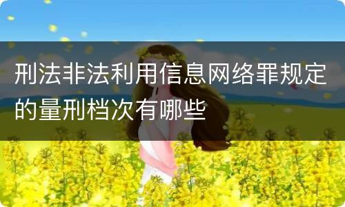 刑法非法利用信息网络罪规定的量刑档次有哪些