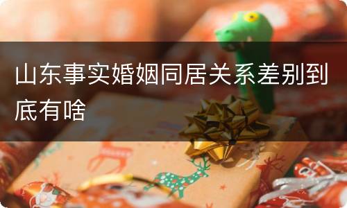 山东事实婚姻同居关系差别到底有啥