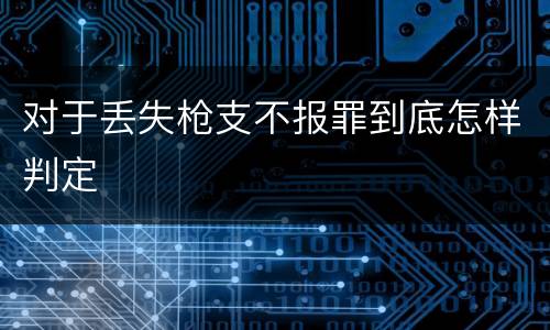 对于丢失枪支不报罪到底怎样判定