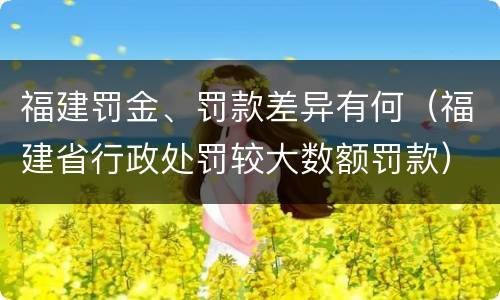 福建罚金、罚款差异有何（福建省行政处罚较大数额罚款）