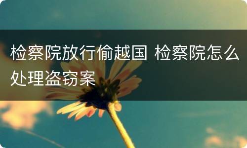 检察院放行偷越国 检察院怎么处理盗窃案