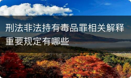 刑法非法持有毒品罪相关解释重要规定有哪些