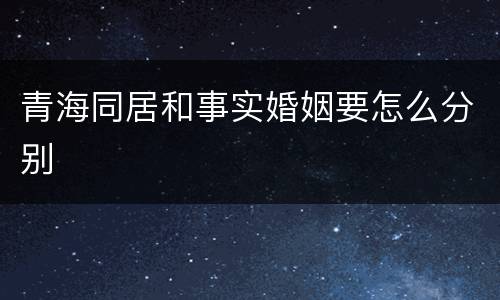 青海同居和事实婚姻要怎么分别