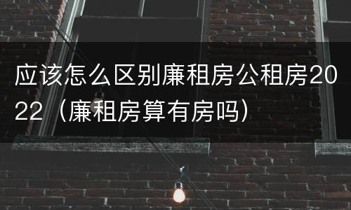 应该怎么区别廉租房公租房2022（廉租房算有房吗）
