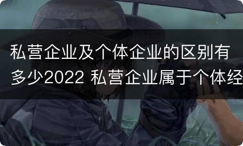 私营企业及个体企业的区别有多少2022 私营企业属于个体经营吗