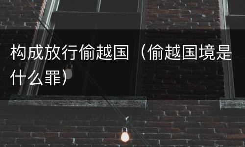 构成放行偷越国（偷越国境是什么罪）