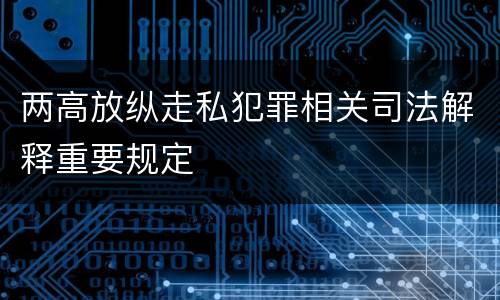 两高放纵走私犯罪相关司法解释重要规定