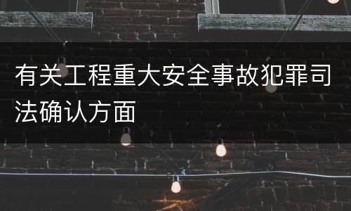 有关工程重大安全事故犯罪司法确认方面