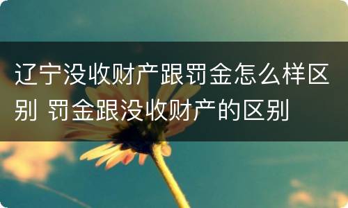 辽宁没收财产跟罚金怎么样区别 罚金跟没收财产的区别