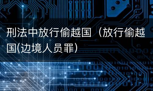 刑法中放行偷越国（放行偷越国(边境人员罪）