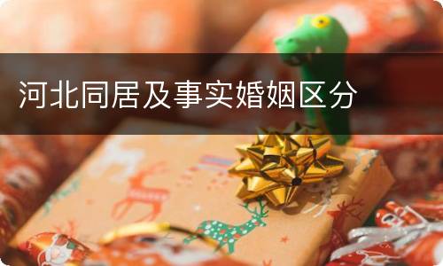河北同居及事实婚姻区分