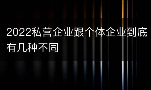2022私营企业跟个体企业到底有几种不同