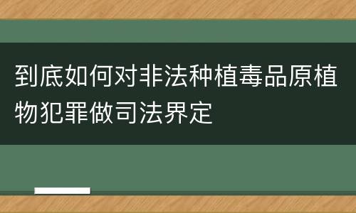 到底如何对非法种植毒品原植物犯罪做司法界定