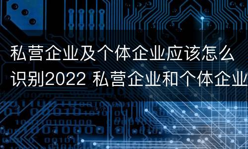 私营企业及个体企业应该怎么识别2022 私营企业和个体企业