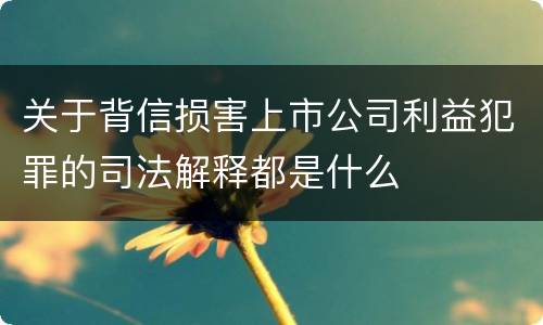 关于背信损害上市公司利益犯罪的司法解释都是什么