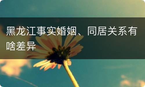 黑龙江事实婚姻、同居关系有啥差异