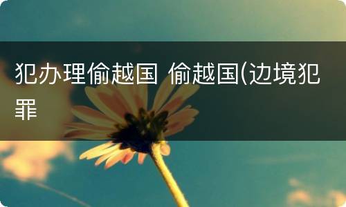 犯办理偷越国 偷越国(边境犯罪