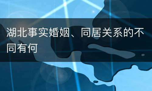 湖北事实婚姻、同居关系的不同有何