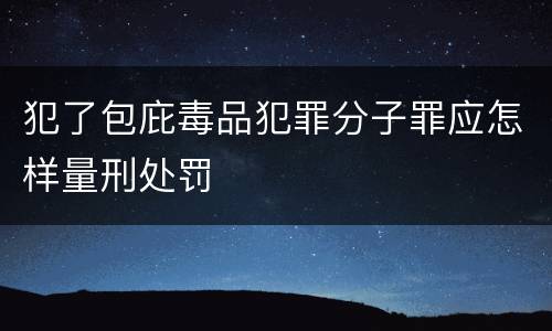 犯了包庇毒品犯罪分子罪应怎样量刑处罚