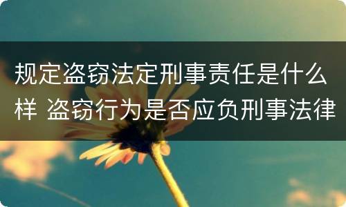 规定盗窃法定刑事责任是什么样 盗窃行为是否应负刑事法律责任