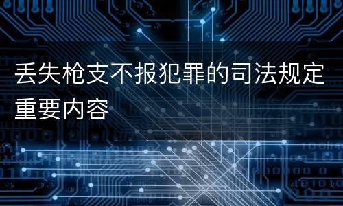 丢失枪支不报犯罪的司法规定重要内容