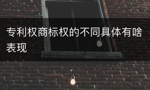 专利权商标权的不同具体有啥表现