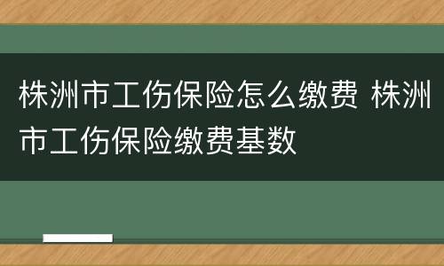 株洲市工伤保险怎么缴费 株洲市工伤保险缴费基数