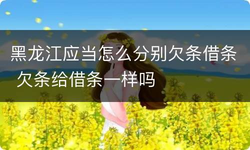 黑龙江应当怎么分别欠条借条 欠条给借条一样吗