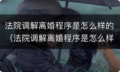 法院调解离婚程序是怎么样的（法院调解离婚程序是怎么样的流程）