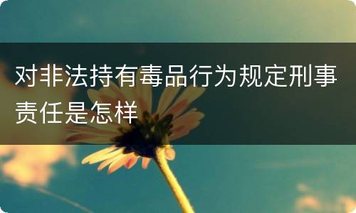 对非法持有毒品行为规定刑事责任是怎样